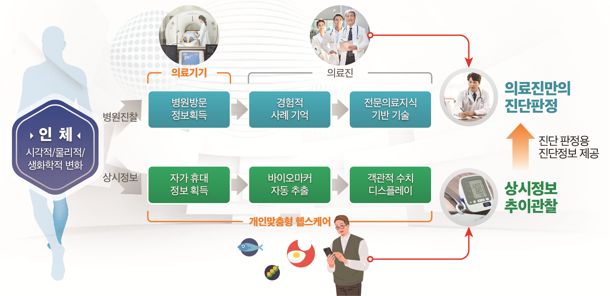 맞춤형 헬스케어 분야의 개요